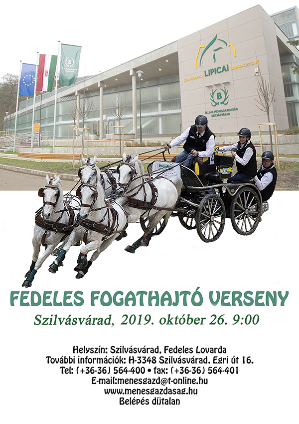 Fedeles Fogathajtó Verseny - 2019