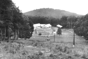 in 1950 the construction of a foal breeding farm was started in Csipkéskút