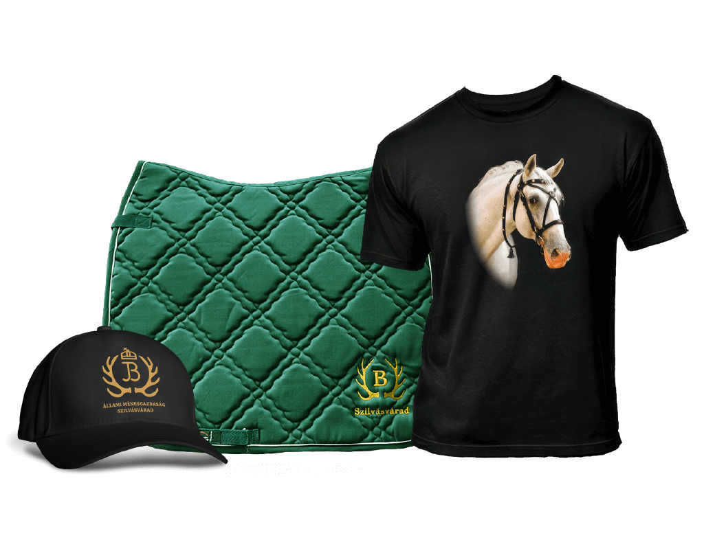 “Waiting for the Good Weather Package”