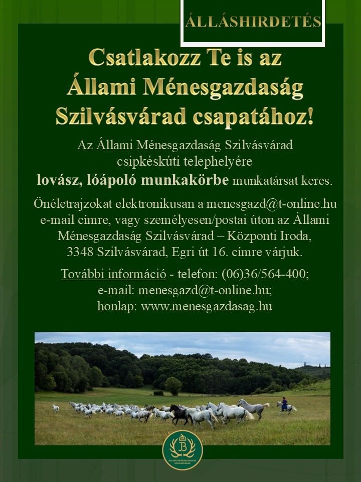 Allashirdetes