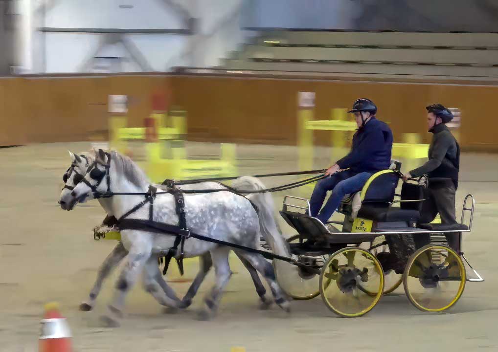 Fedeles fogathajtó verseny 2019 videója