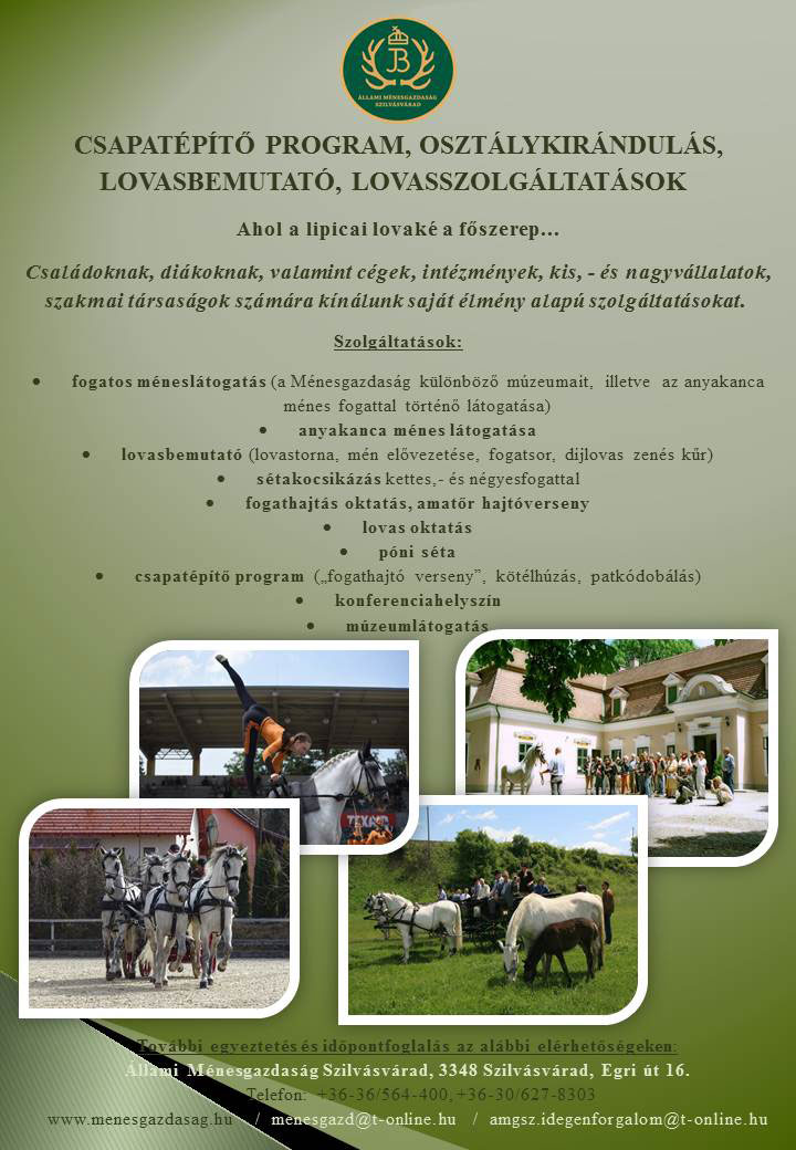 team-building program, class trip, equestrian show, equestrian services in a mosaic