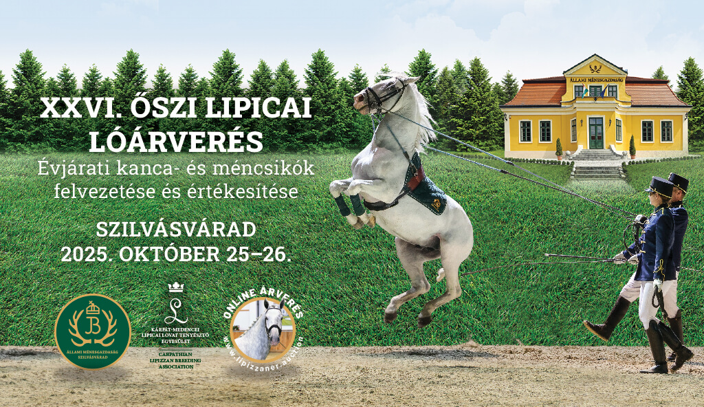 XXVI. Oszi Lipicai Loarveres