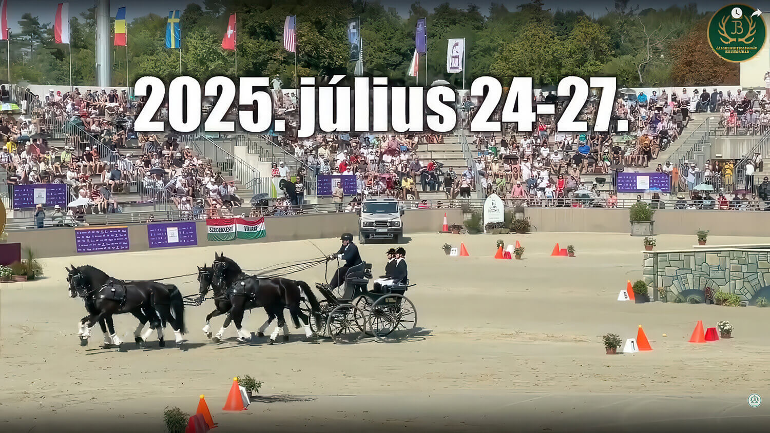 Fedeles fogathajtó verseny 2019 videója