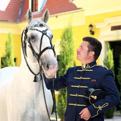 Cseri David Menesigazgato Allam Menesgazdasag Szilvasvarad