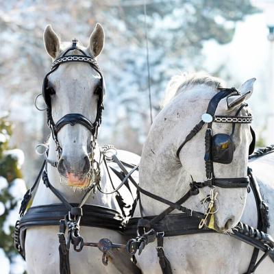 Menesgazdasag Teli Kepek 2026 2049