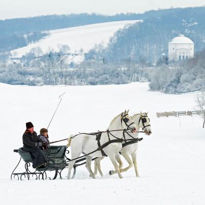Menesgazdasag Teli Kepek 2026 2221