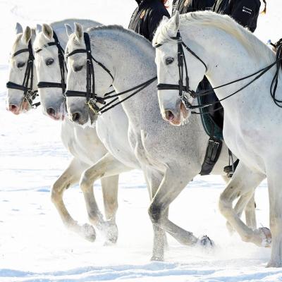 Menesgazdasag Teli Kepek 2026 3428