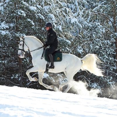 Menesgazdasag Teli Kepek 2026 4215