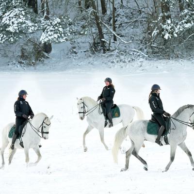 Menesgazdasag Teli Kepek 2026 4349