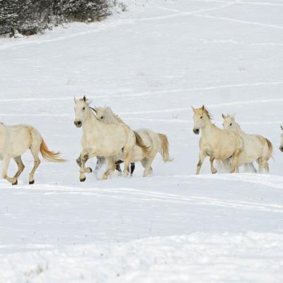 Menesgazdasag Teli Kepek 2026 4567