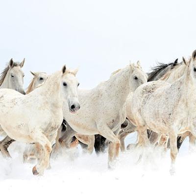 Menesgazdasag Teli Kepek 2026 4960