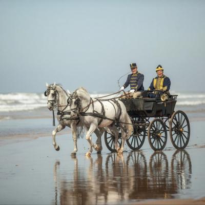 Menesgazdasag Tengerpart 03