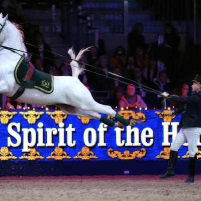 London International Horse Show – Airs above ground