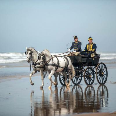 Lipizzaner carriage on the Moroccan seashore 