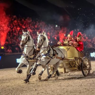 Lipizzaner chariot in the spotlight of Rabat