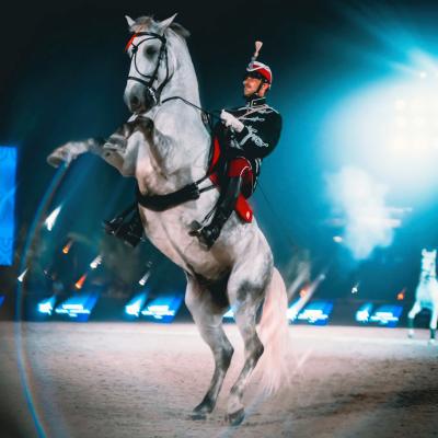 The show in Rabat