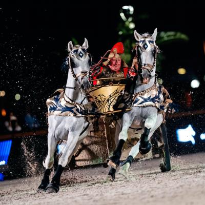 Chariot-driving presentation in the Rabat arena 