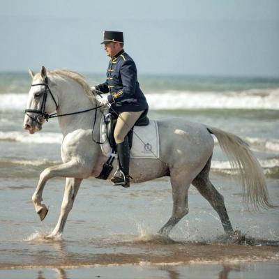 Lipizzaner rider braving the waves of the Atlantic Ocean