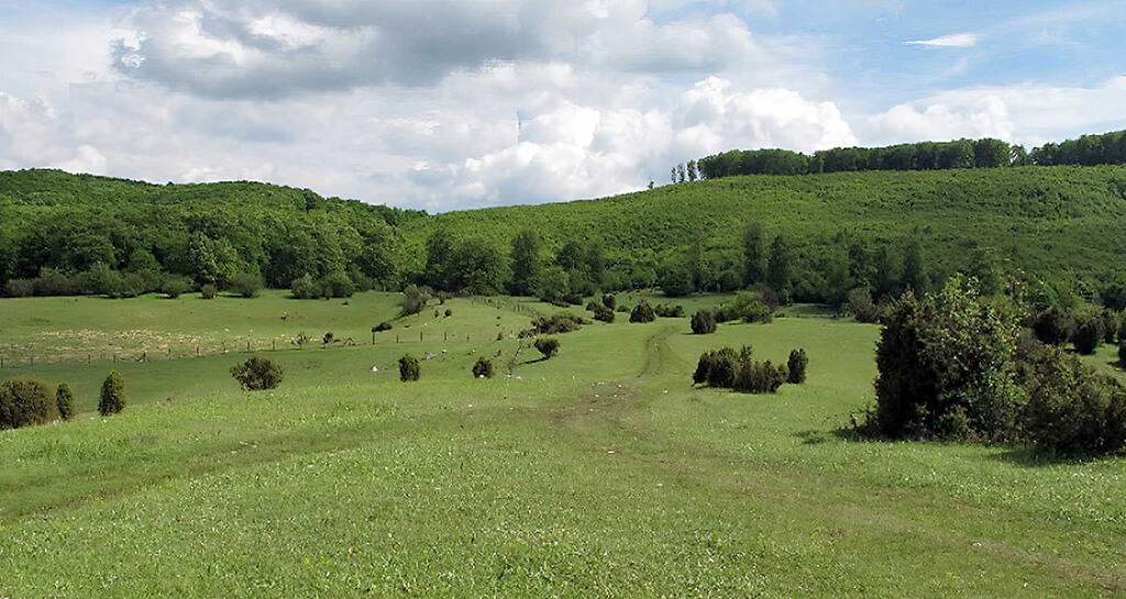 Bükk Great Meadow