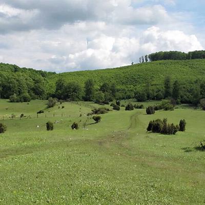 Nagymező