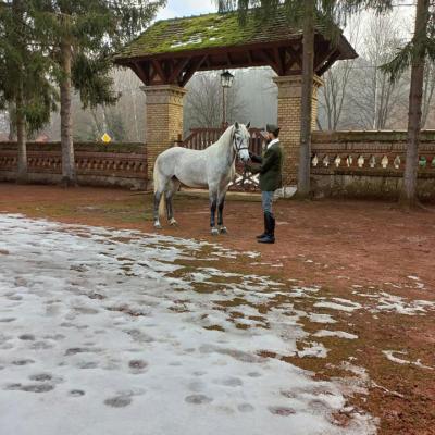 Lovasdolgozói találkozó a parádi Cifraistállóban - kapu