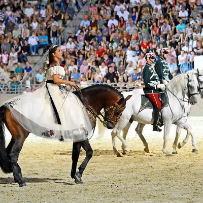 2025 Nemzetközi Lipicai Lovasgála