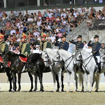 2025 Nemzetközi Lipicai Lovasgála