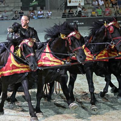 2025 Nemzetkozi Lipicai Lovasgala