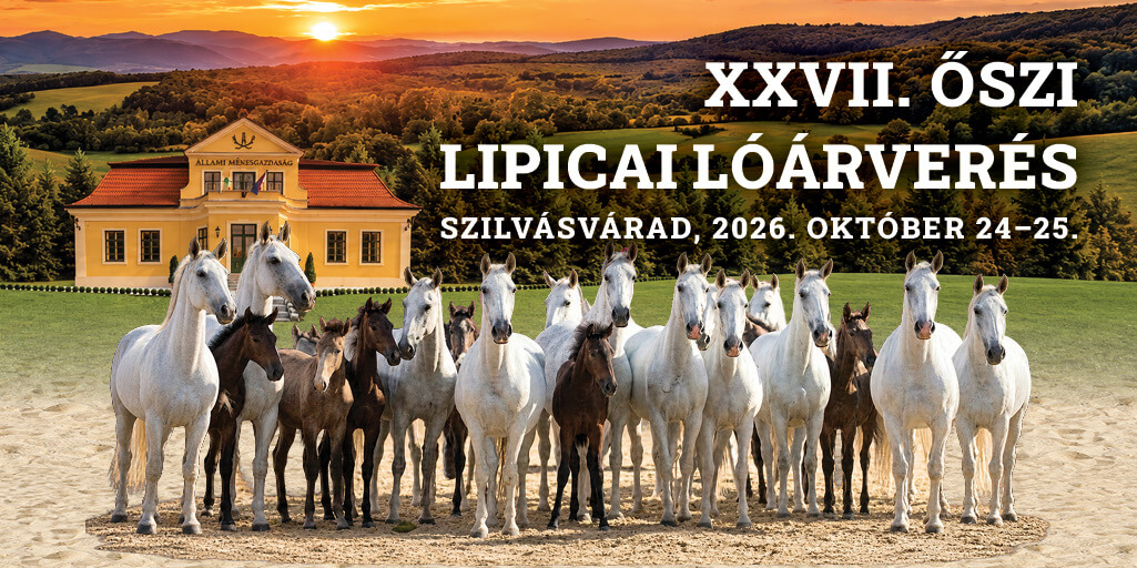 XXVII. Őszi Lipicai Lóárverés Szilvásváradon
2026. október 24–25.
Az Állami Ménesgazdaság Szilvás…
