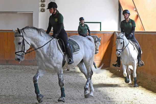 Riders in the forest during riding instruction