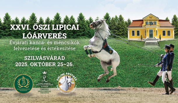 XXVI Autumn Lipizzan Horse Auction in Szilvásvárad