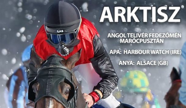 Arktisz ló és lovas fotója