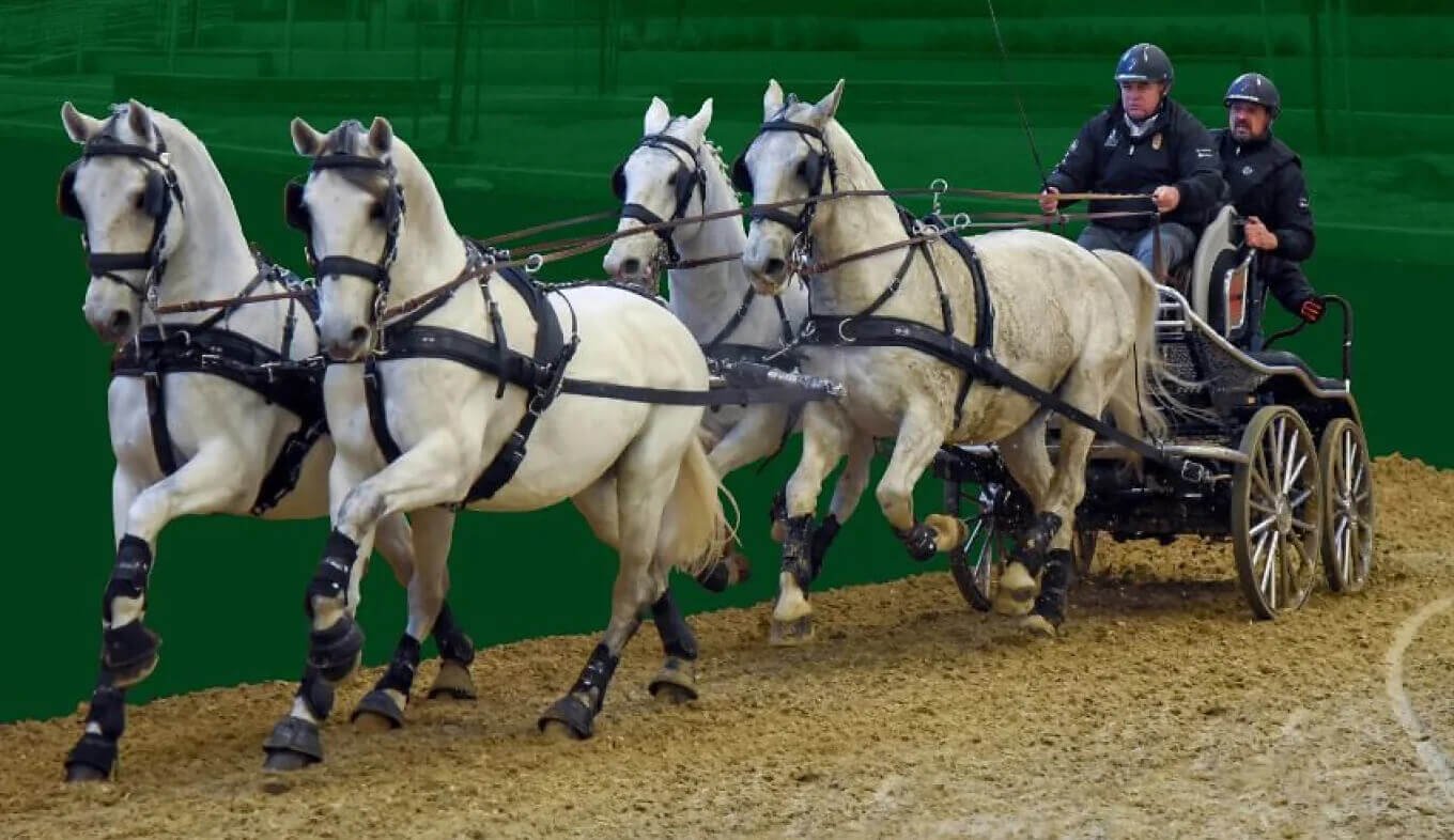 Fedeles Fogathajto verseny