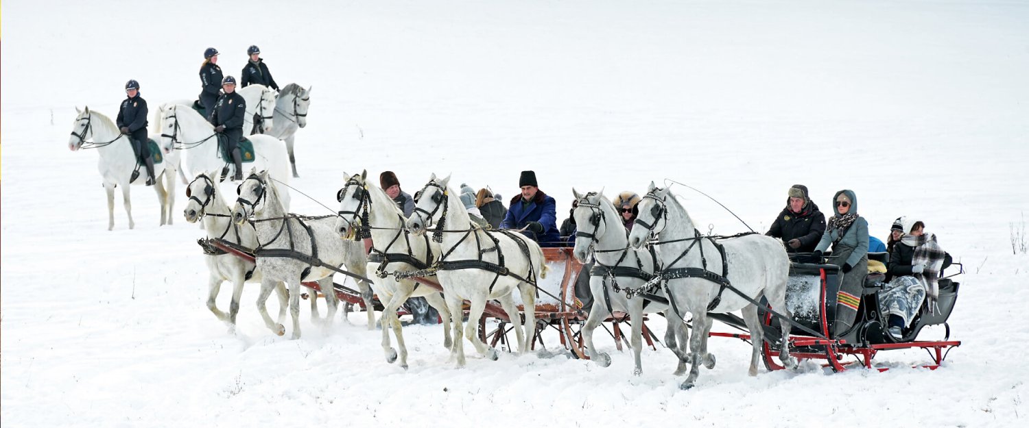 Carriages on the snow