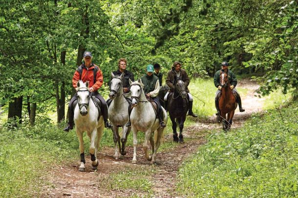 Riders in the forest during riding instruction