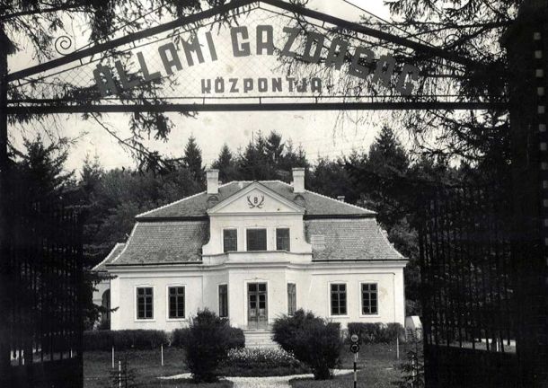 Szilvásváradi törzstenyésztő gazdaság 1953