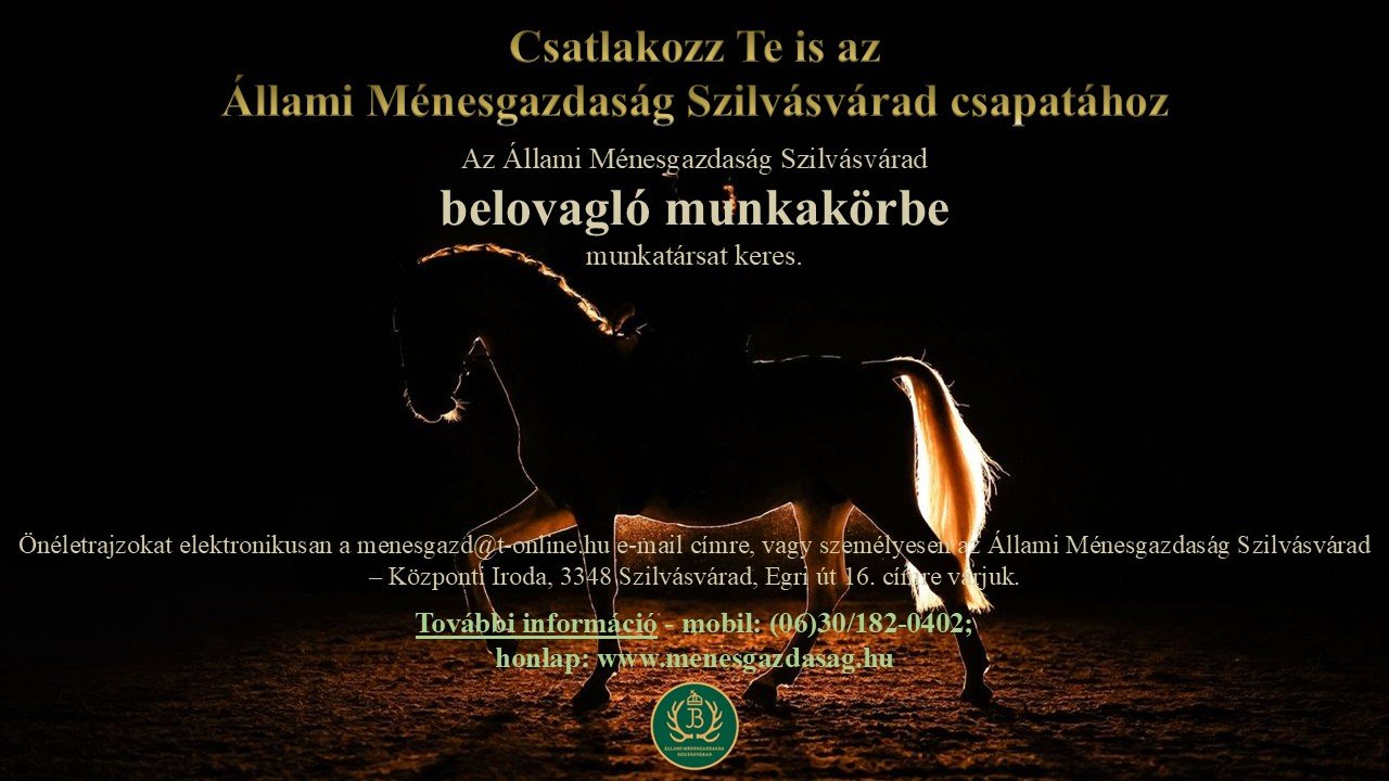 Bővül az Állami Ménesgazdaság Szilvásvárad csapata!
Az alábbi munkakörökbe várjuk az önéletrajzo...