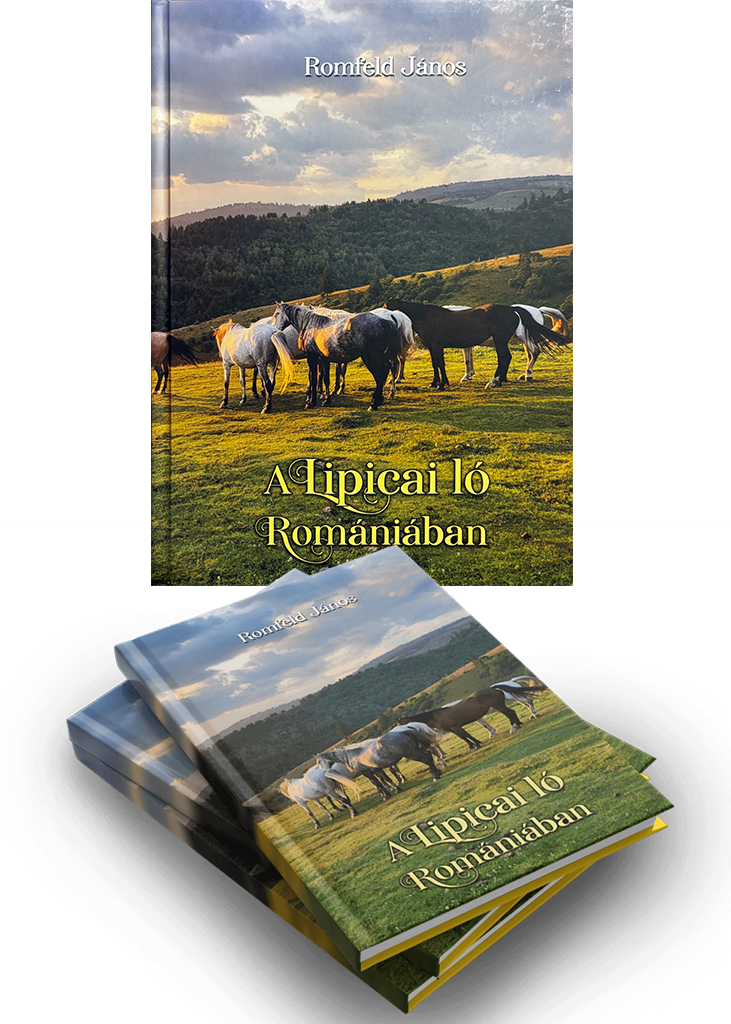 The Lipizzaner Horse in Romania