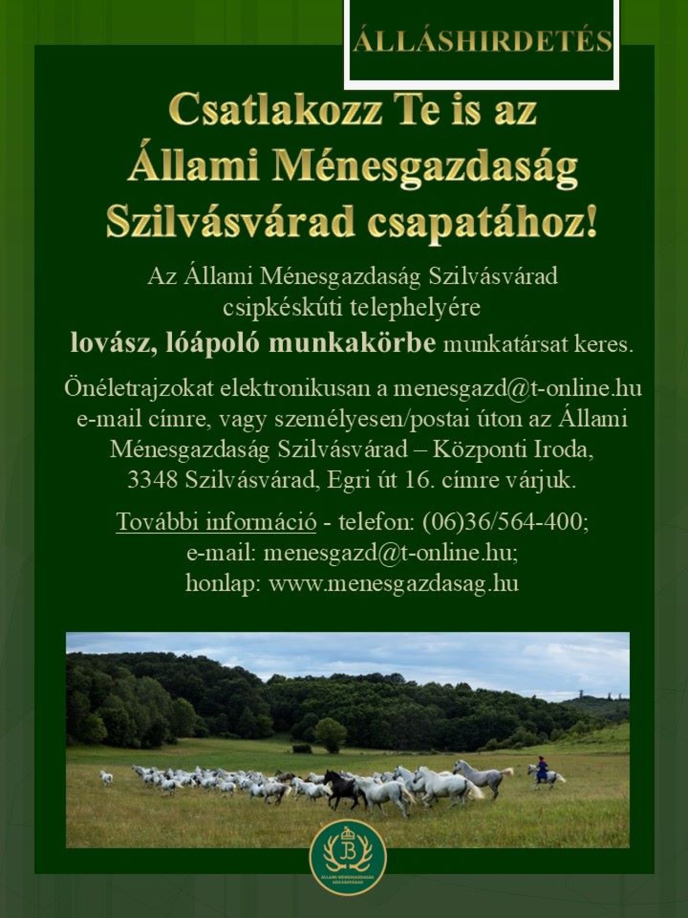 Allashirdetes