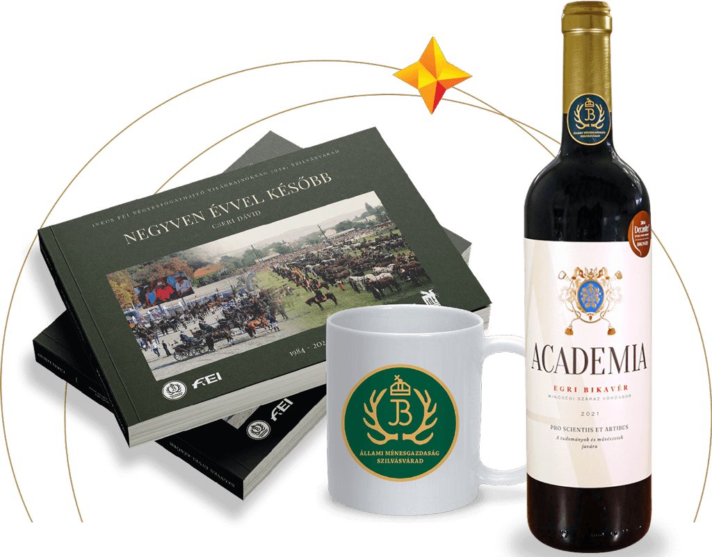 “Winter Relax Package”