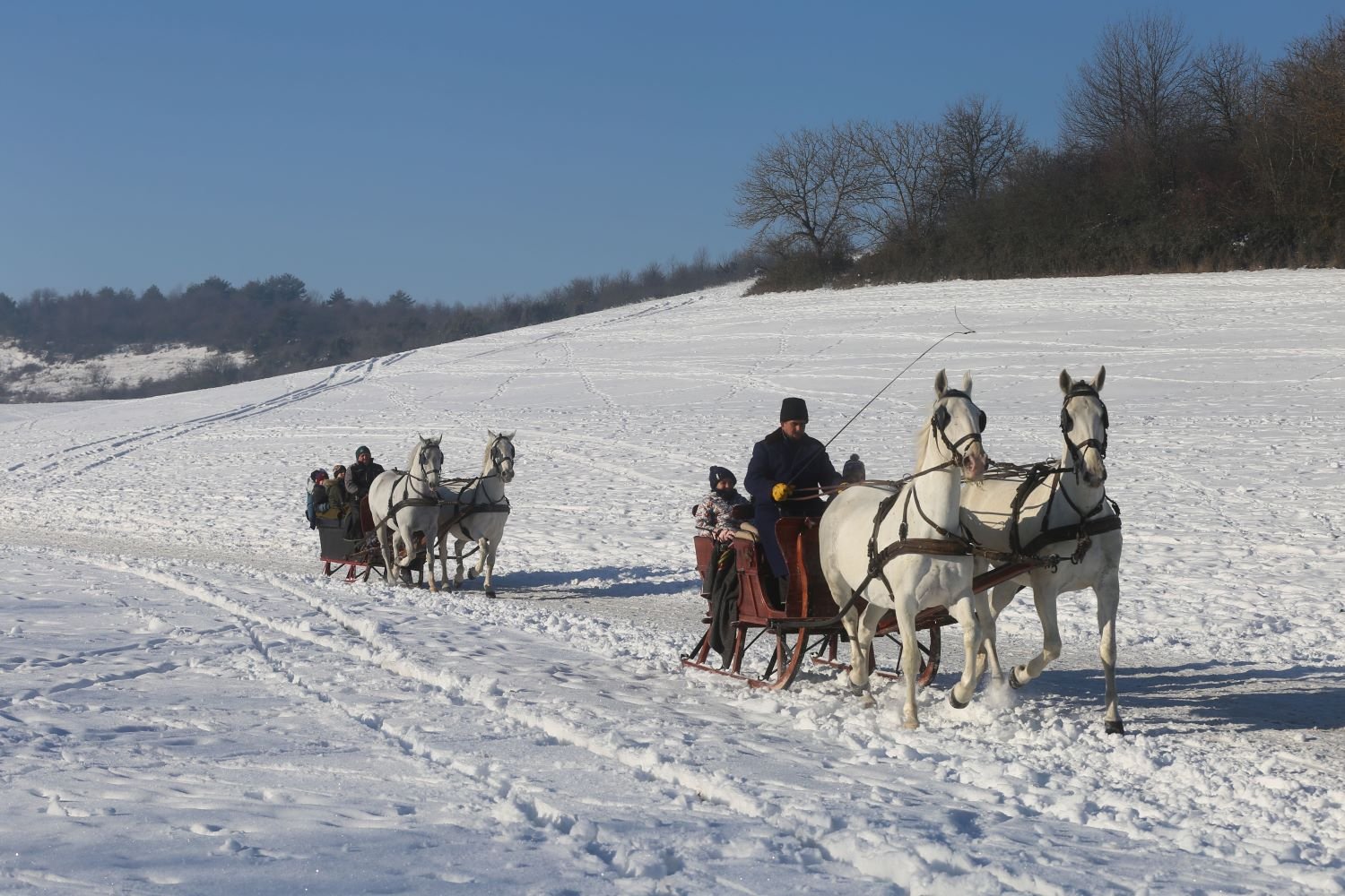 A helyi általános iskolásoknak páratlan élményt biztosított a Ménesgazdaságunk. Egy rendhagyó tan...
