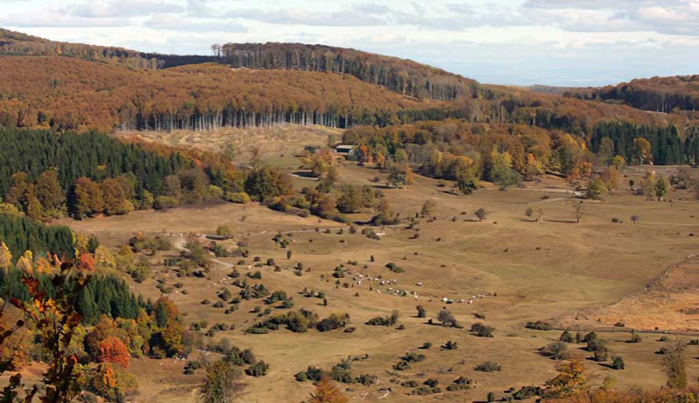 Bükk Mountains large meadow with forests