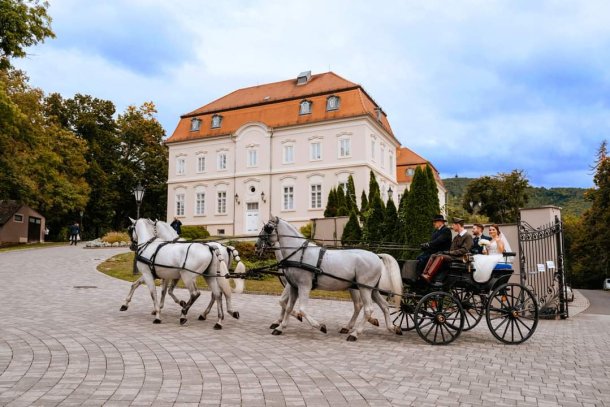 Esküvői négyesfogaton Szilvásváradon ifjú vidám pár