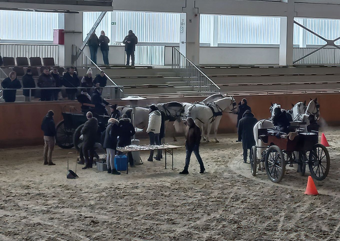 Négyesfogathajtó edzőtábor Boyd Exell segítségével