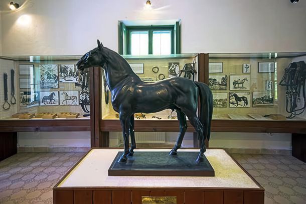 Lipizzaner Breed History Exhibition with a Lipizzaner horse statue