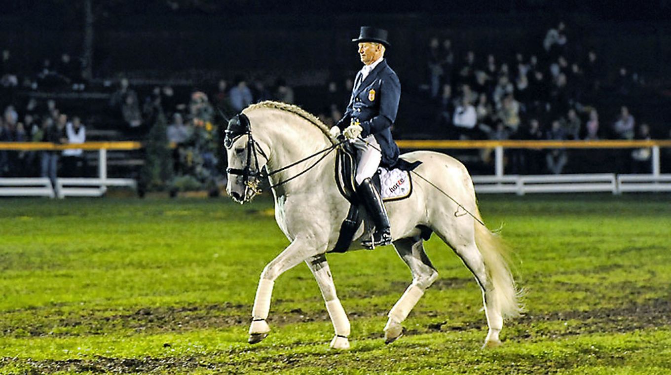 Dressage demonstration image