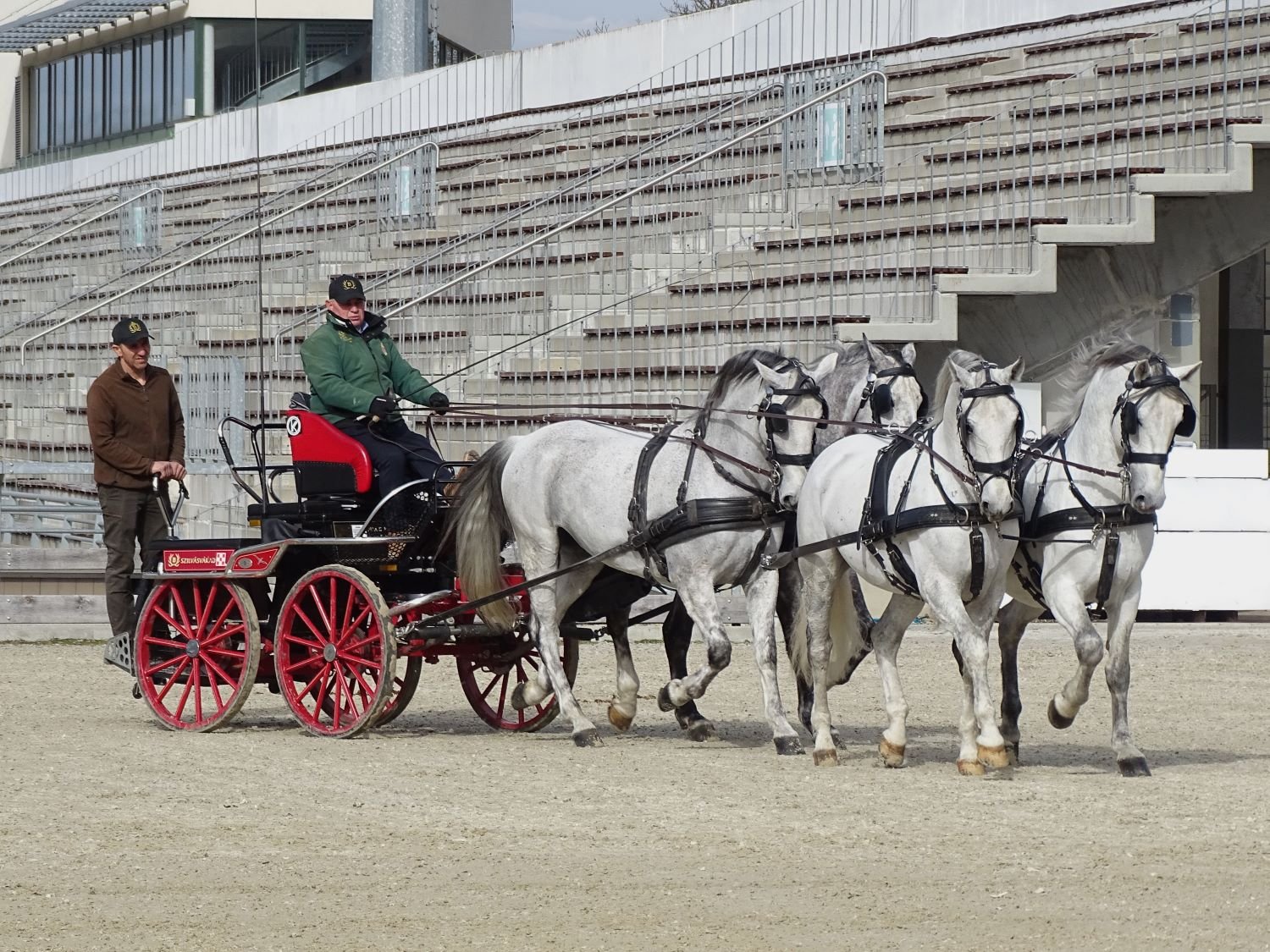 négyesfogathajtás oktatás