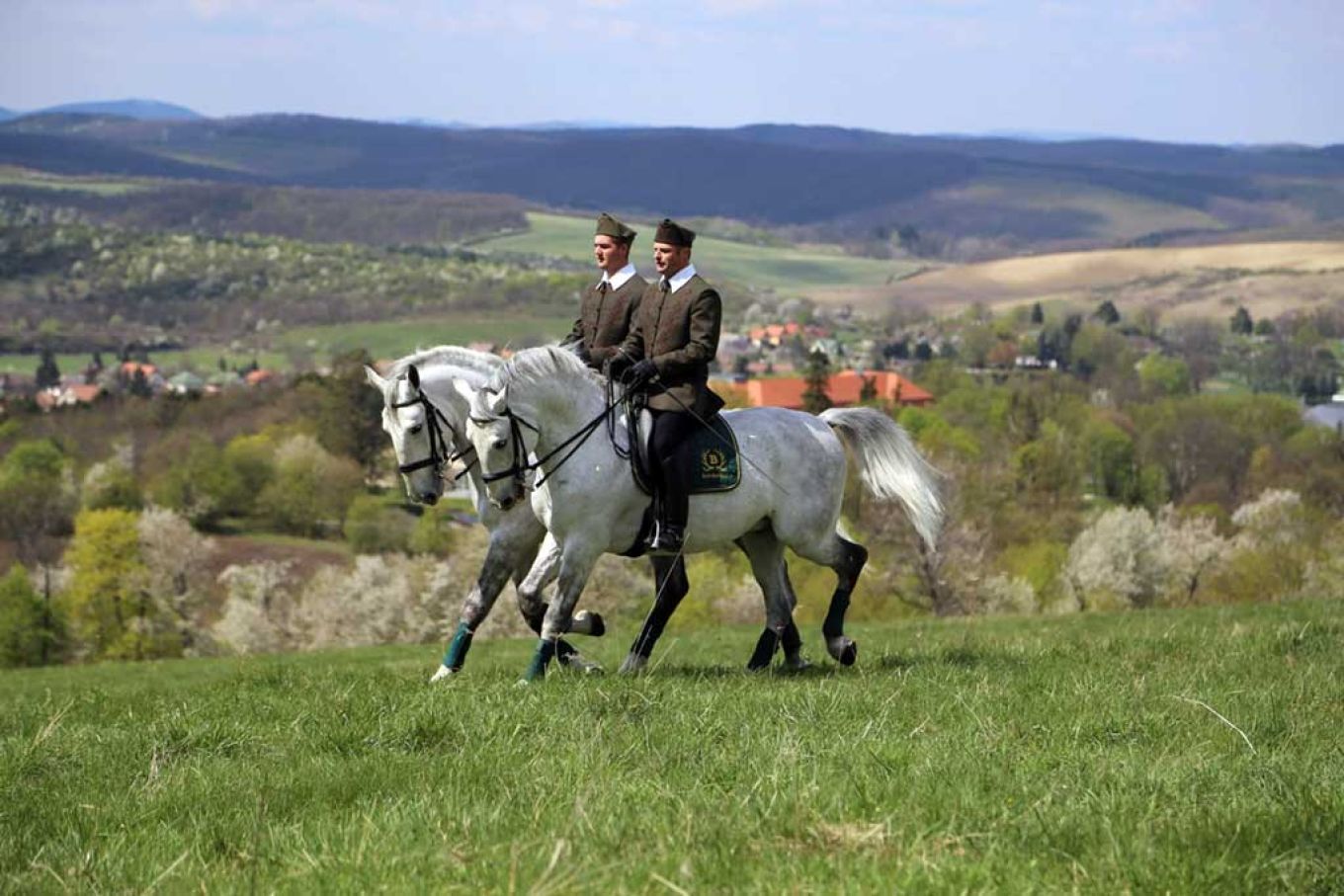 Two riders on Lipizzaner horses in the Szilvásvárad landscape