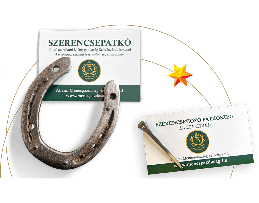 “New Year’s Good Luck Package”